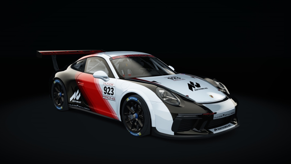 Acrl Porsche 911 GT3 CUP 2017, skin 11_racing_923