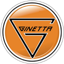 Ginetta G55 GT4 2017 LHD Badge