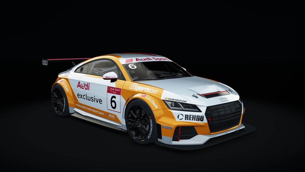 Audi TT CUP Acrl, skin 04_racing_06