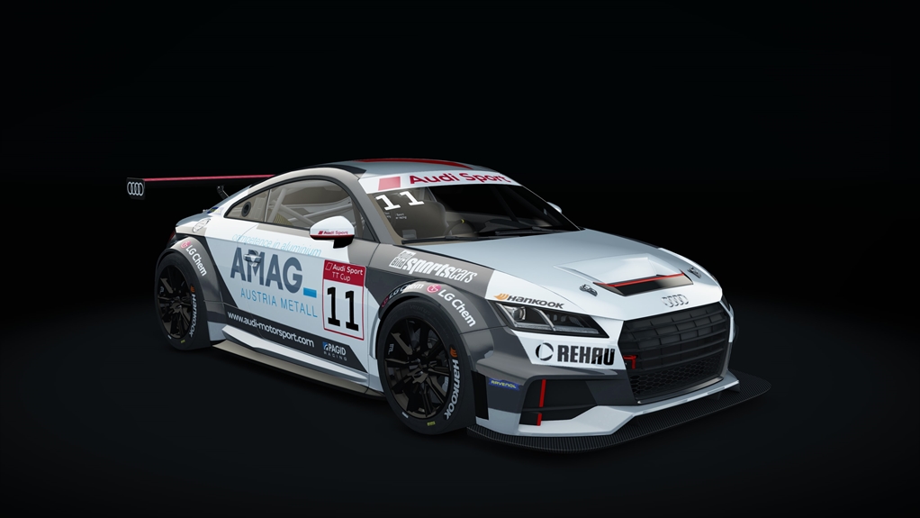 Audi TT CUP Acrl, skin 06_racing_11