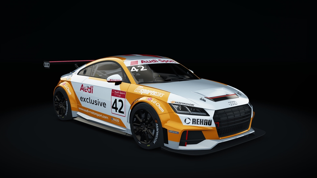 Audi TT CUP Acrl, skin 13_racing_42