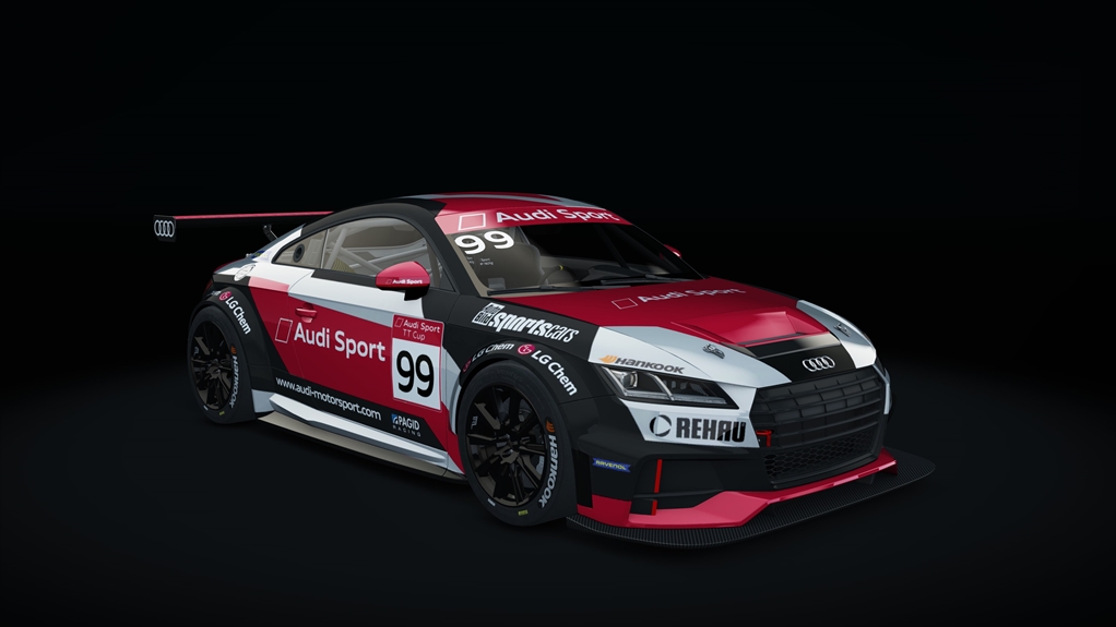 Audi TT CUP Acrl, skin 19_racing_99